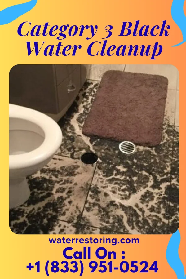 Category 3 Black Water Cleanup in Yorkshire, VA