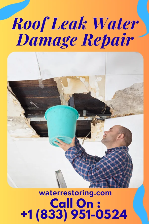 Roof Leak Water Damage Repair in Yorkshire, VA