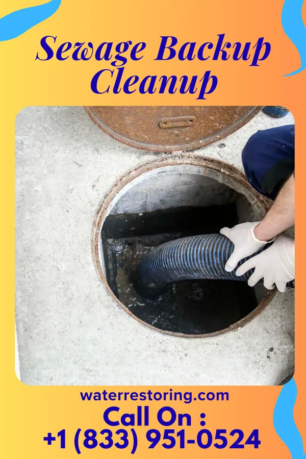 Sewage Backup Cleanup in Yorkshire, VA