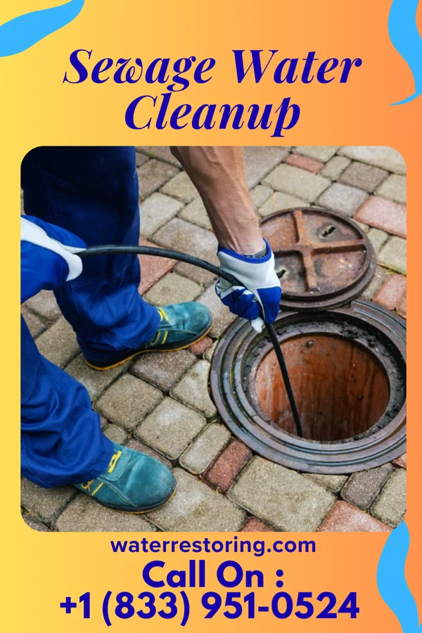 Sewage Water Cleanup in Yorkshire, VA