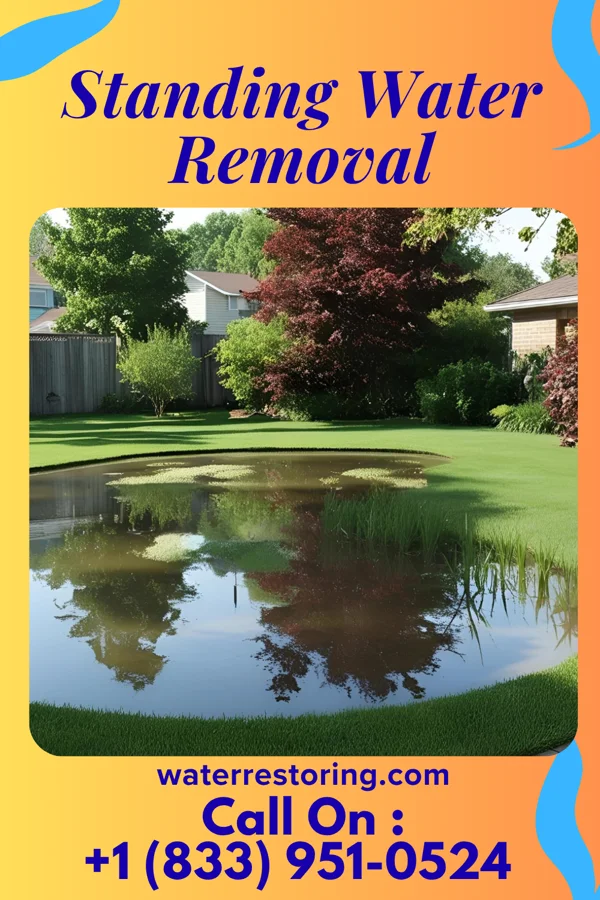 Standing Water Removal in Yorkshire, VA